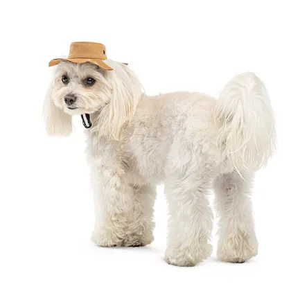 Панама Pet Fashion Ava для собак L: додаткове фото 2