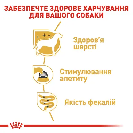 Вологий корм Royal Canin YORKSHIRE ADULT для дорослих собак породи Йоркшир-тер'єр 85 г: додаткове фото 3