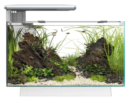 Акваріумний набір SuperFish Quadro 40 Pro White (A4052200)