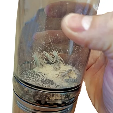 Вітамінізатор для комах Hobby Cricket Vitamizer (38090): додаткове фото 5