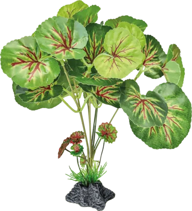 REPTO PLANT STANDING ROUND LEAVES (R5100460) Штучна рослина для тераріума