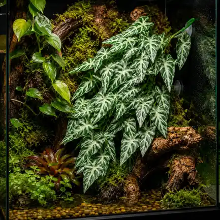 Штучна рослина Hobby Climber Aureum 70 см (37725) для тераріуму, акватераріуму та палюдаріуму: додаткове фото 4