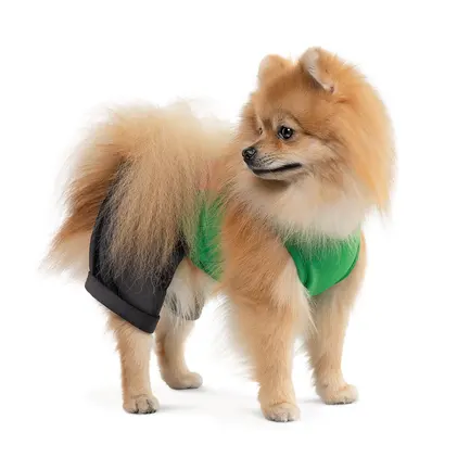 Костюм Pet Fashion «Aleks» для собак, розмір XS, зелений: додаткове фото 2