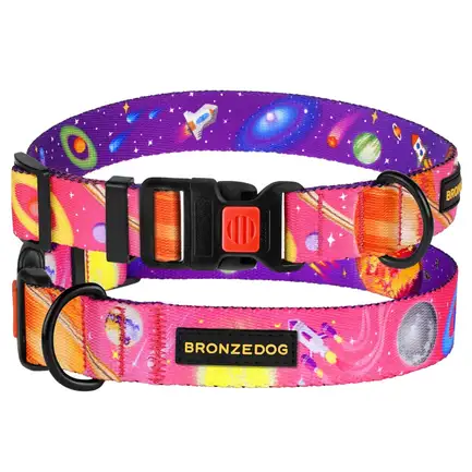 Нашийник для собак BronzeDog Urban Cosmos нейлоновий з пластиковою пряжкою Рожевий L