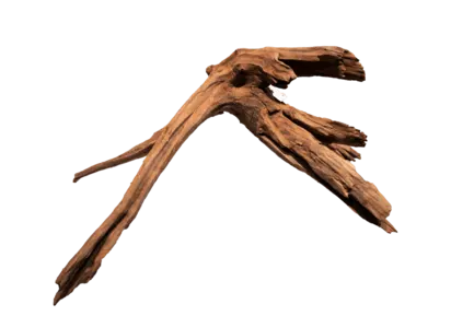Мангрове дерево MANGROVE AGED WOOD LARGE (A4080345)