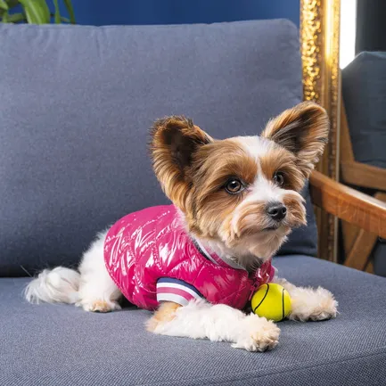 Бомбер Pet Fashion «Grace» для собак, розмір L, рожевий: додаткове фото 4