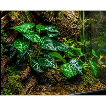 Штучна рослина Hobby Alocasia 2 40 × 20 см (37718) для тераріуму, акватераріуму та палюдаріуму: додаткове фото 3