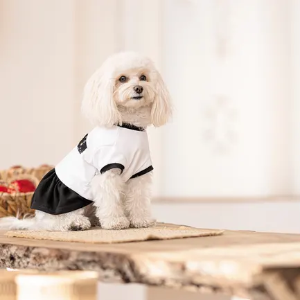 Сукня Chanti ТМ Pet Fashion для собак S білий/чорний: додаткове фото 4