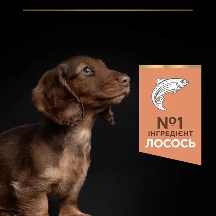 Сухий корм PRO PLAN Small&Mini Puppy <1 Sensitive Skin для цуценят дрібних порід з чутливою шкірою з лососем 3 кг: додаткове фото 7