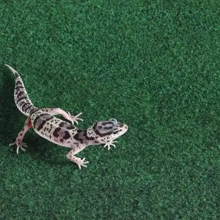 Килимок-субстрат Repti-Zoo Carpet Mat 20x30см (EC05): додаткове фото 10