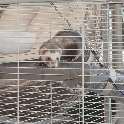 Ferplast CAGE FURET TOWER Клітка для тхорів: додаткове фото 11
