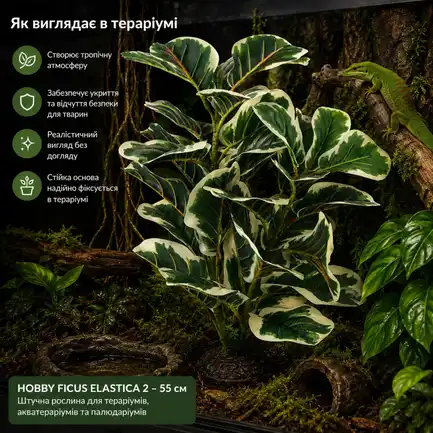 Штучна рослина Hobby Ficus Elastica 2 55 см (37706) для тераріуму, акватераріуму та палюдаріуму: додаткове фото 3