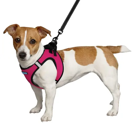 Шлея для собак Barksi Sport Vest неопрен 3D сітка рожева L: додаткове фото 2