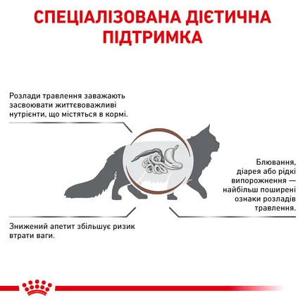 Дієтичний сухий корм Royal Canin GASTROINTESTINAL CAT для котів 2 кг: додаткове фото 3