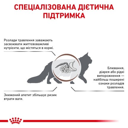 Дієтичний сухий корм Royal Canin GASTROINTESTINAL CAT для котів 4 кг — Фото 2