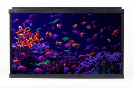 Акваріум Resun WPG 40 для GloFish