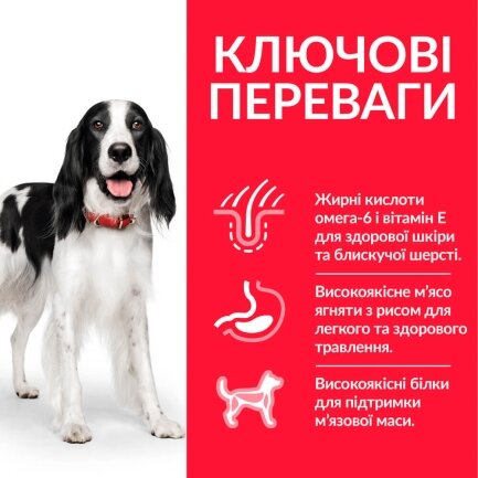 Hill’s Science Plan Adult Medium Breed Сухий корм для дорослих собак середніх порід, з ягням і рисом, 2,5 кг — Фото 2