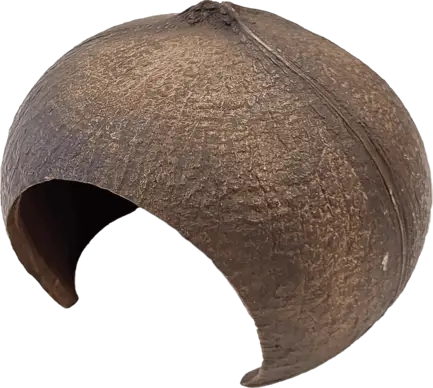 Декорація для акваріума REPTO DECO COCONUT (R5100380)