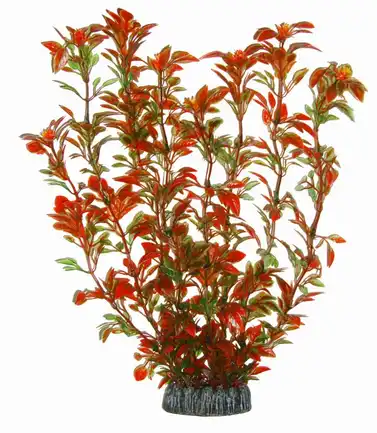 Акваріумна рослина Aquatic Plants, 29 см х 8 шт / уп (2980)
