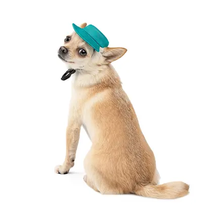 Панама Pet Fashion Rob для собак бавовна фіксатор бірюзова ХL: додаткове фото 2