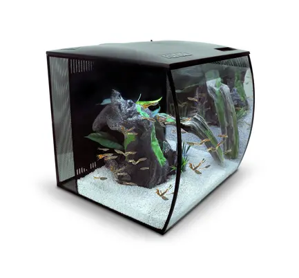 Акваріум Fluval FLEX з обладнанням, чорний, 57 л: додаткове фото 3