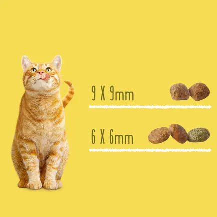 Сухий корм FRISKIES Sterilized для дорослих котів після стерилізації з лососем, тунцем та овочами 10 кг: додаткове фото 7