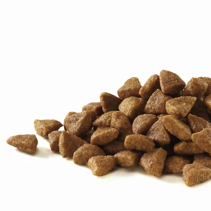 Сухий корм PURINA ONE Sterilcat для дорослих котів після стерилізації комплекс Bifensis з лососем та пшеницею, набір 2х200 г: додаткове фото 6