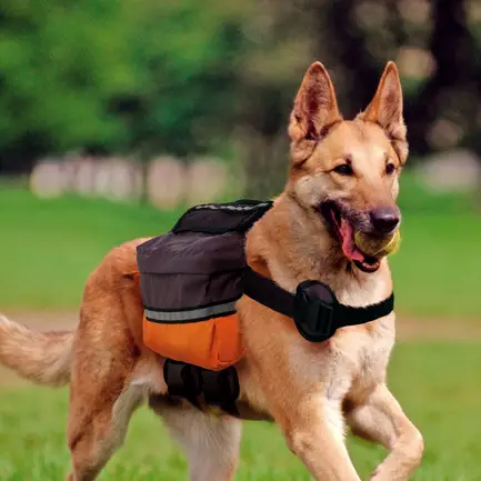 Ferplast DOG SCOUT Жилет-скаут для собак: додаткове фото 2