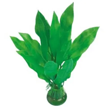 AquatiC Plants (Акватик Плентс) Акваріумна рослина 30cм АМАЗОН, AP -019 - 12