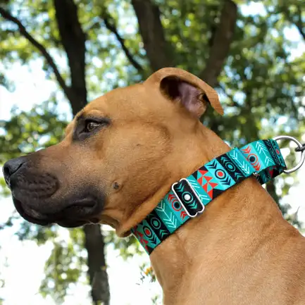 Нашийник для Собак Мартінґейл BronzeDog Urban Нейлоновий з Металевою Фурнітурою Інки XL: додаткове фото 4