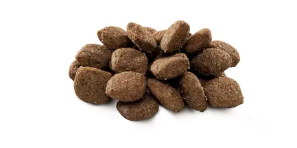 Сухий корм Brit Premium Dog Sensitive Lamb для собак з чутливим травленням, з ягням, 1 кг: додаткове фото 2