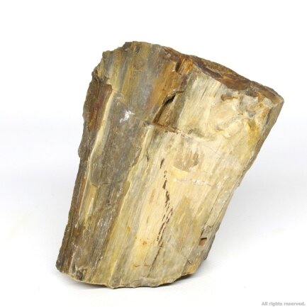 Декоративний природній камінь Hobby Petrified Wood S 0.3-1.0кг (40686) — Фото 1