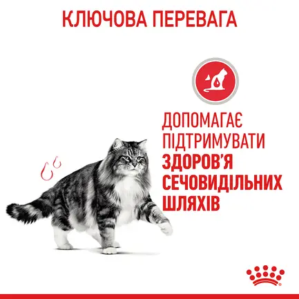 Вологий корм Royal Canin URINARY CARE для котів всіх порід 85 г: додаткове фото 3