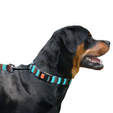 Нашийник для Собак BronzeDog Urban Зигзаг Нейлоновий з Пластиковою Пряжкою Коричнево-Блакитний S: додаткове фото 5