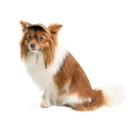 Кепка Phil ТМ Pet Fashion для собак ХL бежева: додаткове фото 2