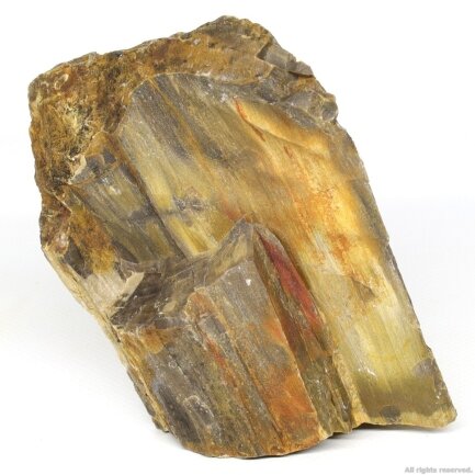 Декоративний природній камінь Hobby Petrified Wood S 0.3-1.0кг (40686)