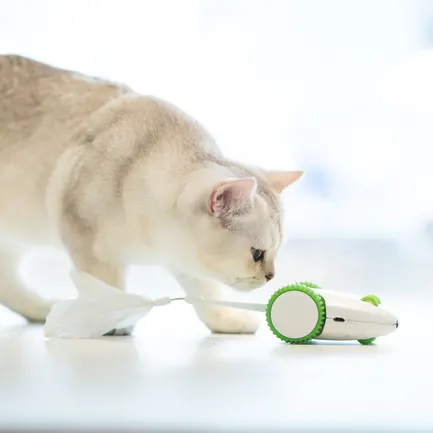Інтерактивна Автоматична Іграшка Petgeek Furious Mouse для Котів L: додаткове фото 4