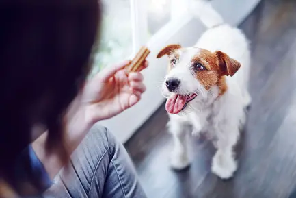 Ласощі DENTALIFE Small для дорослих собак дрібних порід для здоров'я зубів і ясен 115 г: додаткове фото 8