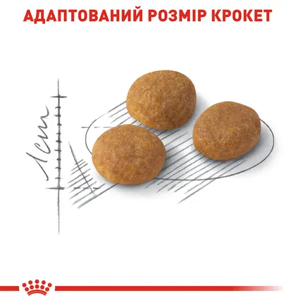 Сухий корм Royal Canin EXIGENT AROMATIC для котів всіх порід 2 кг: додаткове фото 6