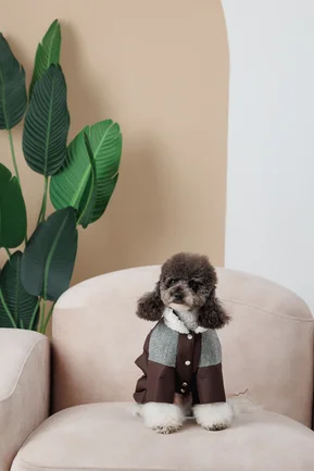 Костюм Pet Fashion Locky М2 для собак: додаткове фото 6