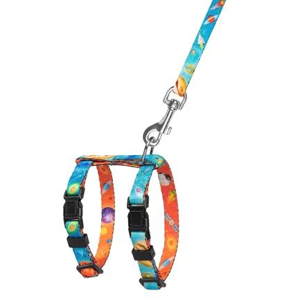 Шлея з повідцем для Котів та Дрібних Собак BronzeDog Urban Cosmos Блакитна XS: додаткове фото 3