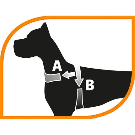 Ferplast SPORT DOG P MED YELLOW Шлея, нейлон: додаткове фото 2