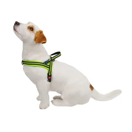 Шлея для Собак BronzeDog Mesh Скандинавська Лимонна M: додаткове фото 2