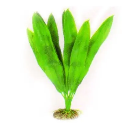 Акваріумна рослина Aquatic Plants, 29 см х 6 шт / уп