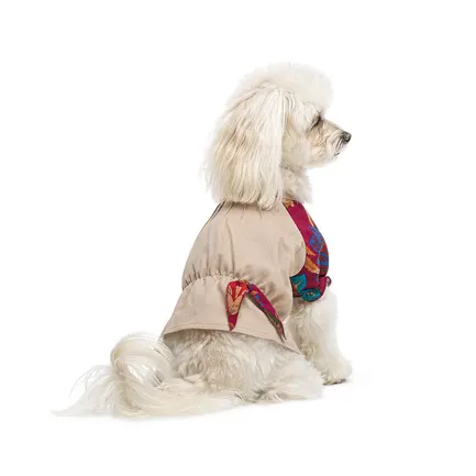 Сорочка Pet Fashion Соломія для собак дівчинка бежева S: додаткове фото 3