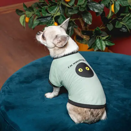 Футболка Pet Fashion Oscar для собак бавовна трикотаж рібана блакитна M: додаткове фото 4