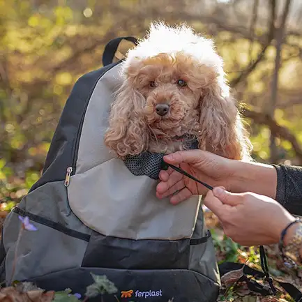 Ferplast KANGOO L GREY BACKPACK Рюкзак для транспортування собак: додаткове фото 6