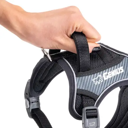 Ferplast GENIUS SMALL BLACK HARNESS нейлонова шлея для тварин чорна: додаткове фото 7