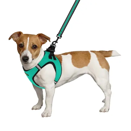 Шлея для собак Bronzedog Mesh Vest 3D сітка ментолова M: додаткове фото 3