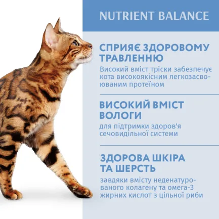 OPTIMEAL™.Конс корм д/дор котів з тріскою та овочами в желе, 0,085 кг: додаткове фото 3